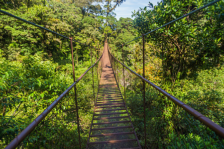 巴拿马绞架桥远足热带冒险全景植物森林山脉天空旅行肾上腺素图片