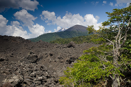 坚固的熔岩场和被云覆盖的Llaima火山图片