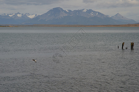 在背景之下是最后的和Sarmiento山区海景海岸线风景海岸场景进口海域入口海洋木杆图片