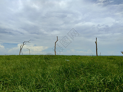 蓝天空背景的绿草地蓝色爬坡阳光草原花园天气天空全景场景植物图片