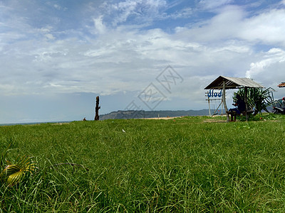 蓝天空背景的绿草地草原场地农村旅行牧场场景天空植物土地蓝色图片