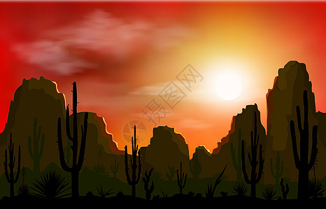 岩石沙漠与仙人掌在 sunse图片