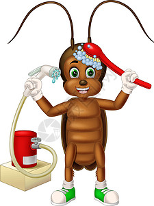 可爱的棕色蟑螂淋浴用红色刷子卡通洗澡图片
