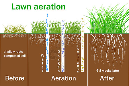 草坪通气 促进植物生长 水和空气自由进入土壤小册子设计师园林培育地面季节插图环境草原公司图片
