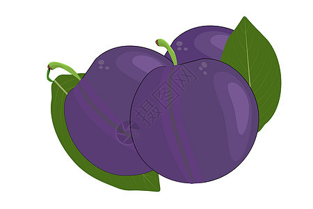 在白色背景隔绝的李子 李子果实和叶子 简单的卡通平面样式有机水果图片