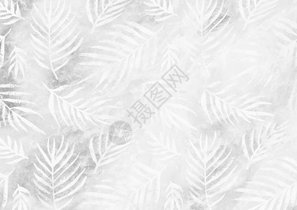 白色棕榈叶图案空银纸背景图片