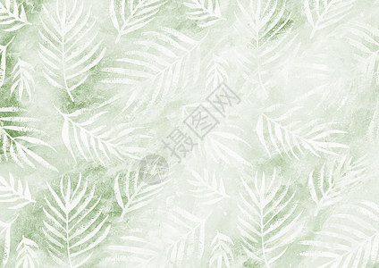 白色棕榈叶图案绿色空纸背景图片