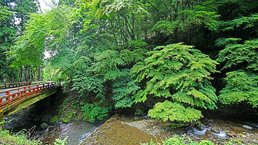 日本山的江河 桥路绿树和植物图片