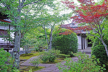 外门人行道 绿色植物和日元馆岩石农村绿色花园车道石头公园季节植物树木图片