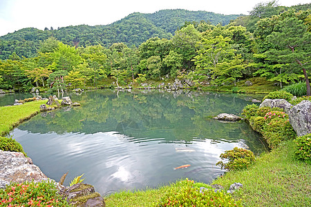 绿色植物 山地 鱼类 在日本有反射的湖泊公园树木花园绿色岩石植物石头池塘农村季节图片