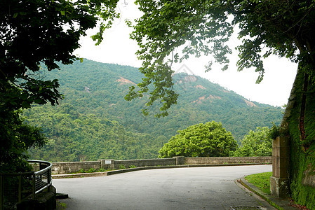 自然景观布局  蓝天空 白云和树天空树叶植物蓝色公园绿色叶子晴天场地季节图片