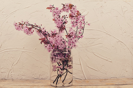 花瓶里的樱花 美丽的粉红色花朵 或日本樱桃也称为山樱桃 东方樱桃或东亚樱桃 三月第一朵花 白色带纹理的背景 极简主义或还原主义的图片