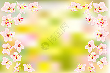 模糊的绿色背景上有樱桃或粉红色樱花的背景图片