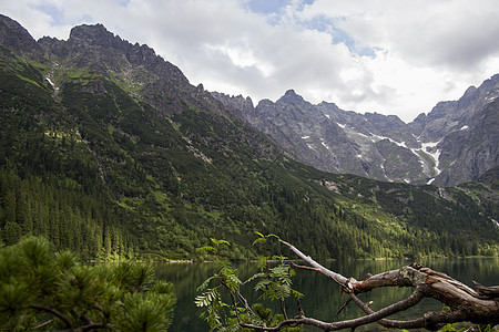 美丽的夏季高山湖景 前面有一棵秋天的树 天空中有云彩 山在水中的倒影 水晶般清澈的水 欧洲 阿尔卑斯山图片