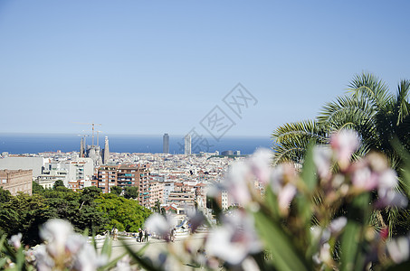 西班牙夏日公园古尔Park Guell的巴塞罗那全景 阳光灿烂的巴塞罗那市风景最佳景象旅游观光房子天线办公室天空景观建筑蓝色海滩图片