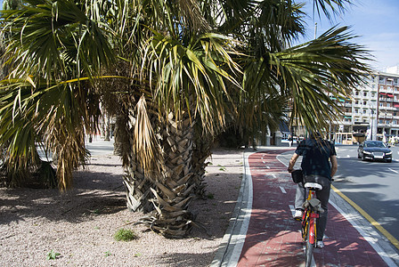 骑自行车的人骑马穿过巴伦西亚西班牙的街道图片