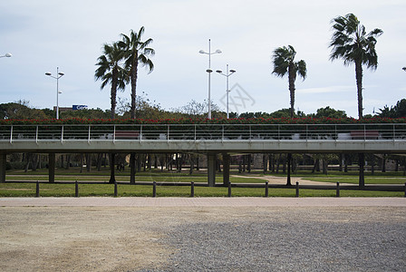 西班牙巴伦西亚 Turia 河旧河道上有棕榈树的城市公园 瓦伦西亚的 Parc Turia娱乐艺术蓝色棕榈建筑学跑步植物旅游自然图片