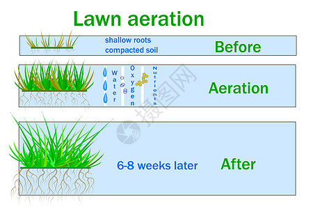 草坪通气 促进植物生长 水和空气自由进入土壤标签季节草地设计师公司通风绿化园丁插图养分图片