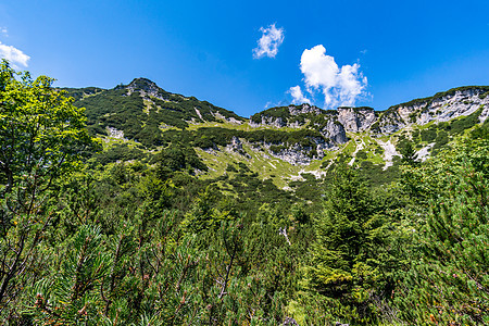 在贝希特斯加登阿尔卑斯山 飞得惊人首脑自然保护区旅行全景天空顶峰侵蚀岩石荒野石灰石图片