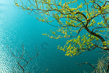 带回旋空间的清蓝山湖上树枝生态旅游花园太阳荒野森林蓝色风景反射环境图片