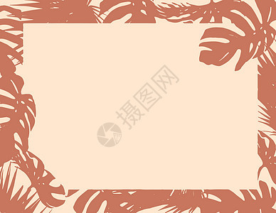 棕色天然树叶边框白纸夏季背景图片