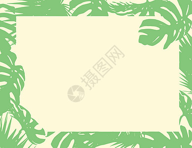 绿色天然树叶边框白纸夏季背景图片