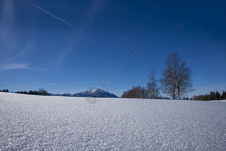 瑞士山丘雪雪蓝蓝天 祖格布Zugerb木头全景天气蓝色曲目高地国家松树蓝天旅行图片