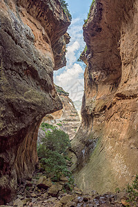 自由州金门的沙石峡谷悬崖阳光旅游侵蚀农村橙子阴影地质学植物岩石图片