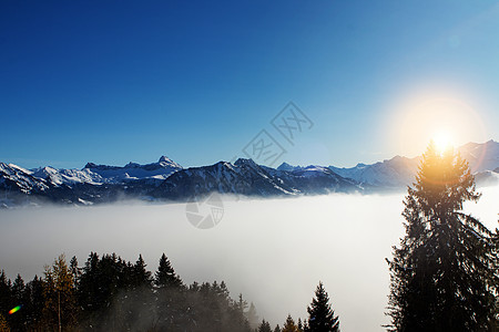 和阿尔卑斯山的松树季节蓝色天空农村旅行山脉顶峰风景村庄环境图片