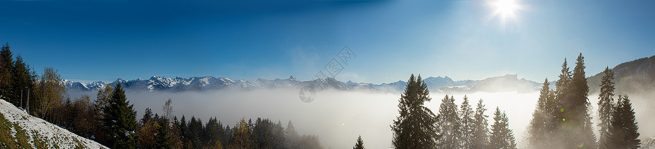 和阿尔卑斯山的松树山脉假期寒冷场景农村蓝色冰川森林风景美丽图片