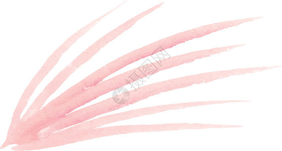 白色背景上孤立的淡粉色叶子刷子插图墨水季节植物热带艺术树叶绘画图片