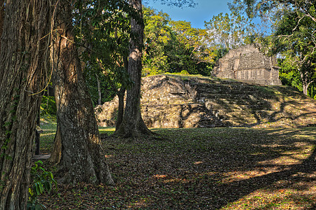 危地马拉佩滕州Uxactn市马雅金字塔遗址城市地方圣地考古石碑公园神社旅游金字塔图片
