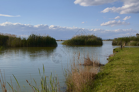 湖在炎热的夏日湿地天堂芦苇村庄商业全景自然保护区水生植物数字艺术图片