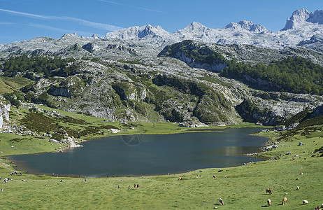 在高山的湖泊中 有一个夏日山脉环境草地观光旅游天空公园高地假期爬坡图片