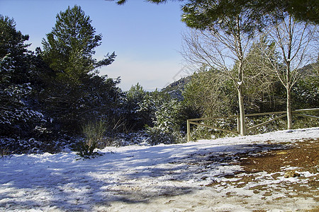 阳光明媚的白日雪雪山风景天空大雪栅栏阳光照射山脉太阳蓝色森林高地蓝天图片