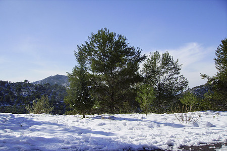 阳光明媚的白日雪雪山风景太阳天空旅行季节森林高地童话气候仙境假期图片