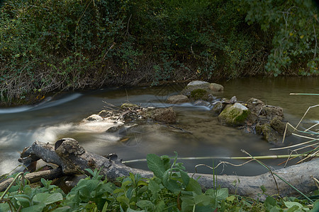 流淌着平静和透明的水面石头蓝色旅游运动岩石风景苔藓木头溪流流动图片