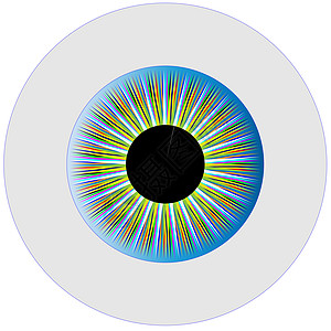 伊瑞斯圆形瞳孔配镜师鸢尾花艺术品插图光学白色镜片绘画图片