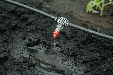 灌溉系统闭闭闭植物管道农场生态滴水地面食物发射器洒水器乡村背景图片