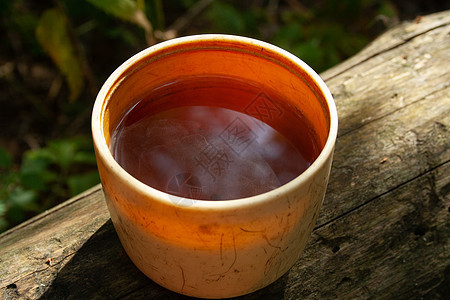 一杯茶野餐早餐树叶远足树木杯子冒险娱乐旅行森林图片