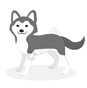 哈士奇犬图标平面卡通风格 孤立在白色背景上的可爱小狗 插图剪贴画图片