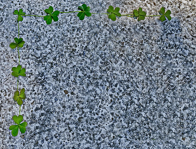 自然的三丁柳叶在马赛克基底和文字位置上留下背景公园广告植物群晴天树叶马赛克花束荒野野花农村图片