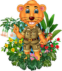 棕色狮子与热带常春藤植物和花卉卡通野生动物木头竹芋哺乳动物衬衫动物群吉祥物套装动物园丛林图片