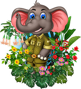 灰色大象与热带植物和花卉卡通图片