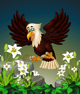 飞翔的棕鹰鸟在森林中飞翔在白色的常春藤花朵之上卡通图片