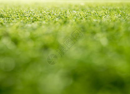 浅d 校园塑料人造草的质地足球天文颗粒绿色草地操场闲暇地面草皮娱乐图片