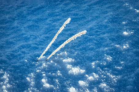 冻在雪上的干草图片