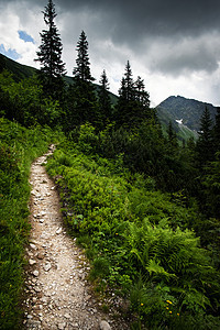 向山顶倾斜的风景足迹图片