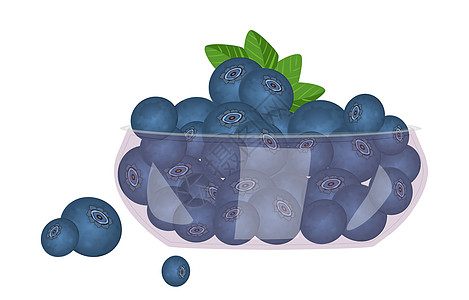 在白色背景上孤立的玻璃碗中的蓝莓生物早餐水果插图食物书房小吃盘子团体花园图片