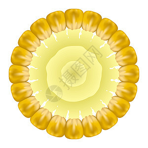 有机黄色新鲜玉米 天然黄金甜食 夏季金色素食甜玉米质地 种子饰品图片